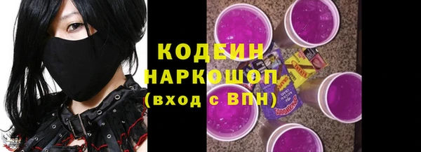 дмт Богородицк