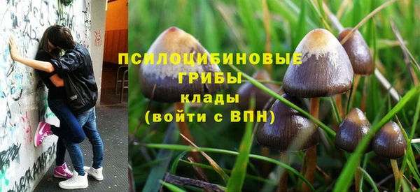 дмт Богородицк