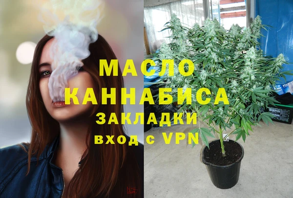 дмт Богородицк
