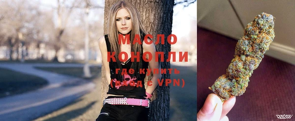 дмт Богородицк