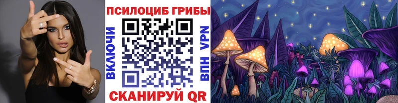 Галлюциногенные грибы MAGIC MUSHROOMS  гидра tor  Эртиль 